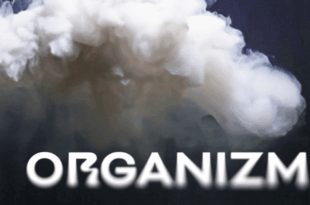 Organizm