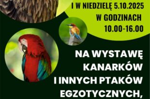 Zapraszamy na Wystawę Ptaków Egzotycznych
