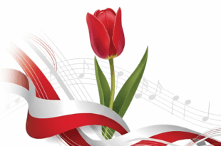 „Jedyne co mam…” – koncert zespołu Czerwony Tulipan