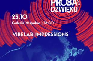VibeLab Impressions | wydarzenie w ramach Próby Dźwięku