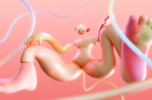 23. Międzynarodowy Dzień Animacji
