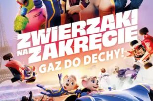Zwierzaki na zakręcie
