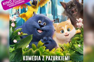 Sekretny świat kotów - Kino za friko! (seanse darmowe, niebiletowane)