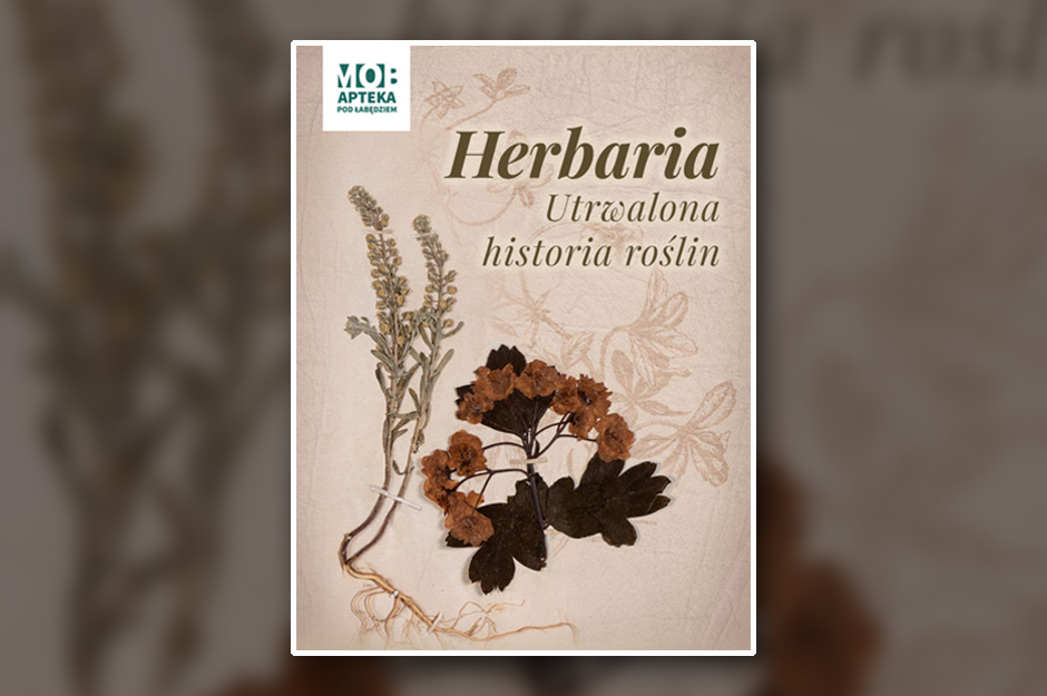Herbaria. Utrwalona historia roślin