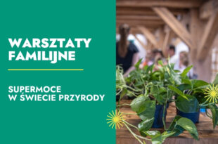 Supermoce w świecie przyrody – warsztaty familijne na wystawie SOWA