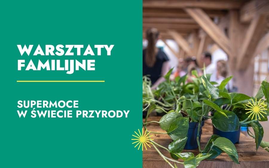 Supermoce w świecie przyrody – warsztaty familijne na wystawie SOWA