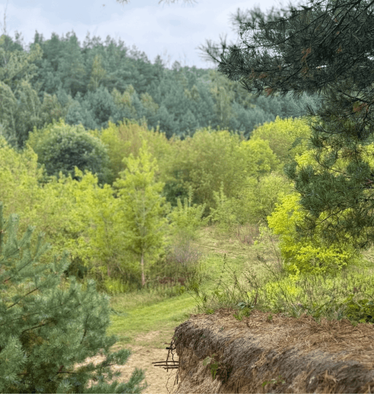 Mała kultura na świeżym vol. 27. PoParkuj 9. Zamczysko i paskowa górka