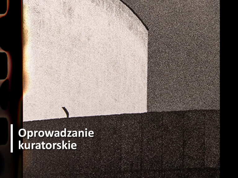 Obiektyw/nie Bydgoszcz - oprowadzanie kuratorskie