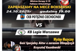 Polska Liga Boksu