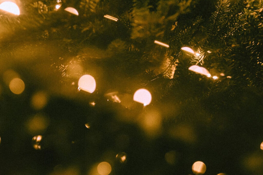 Kolędowanie z chórem Agora Nestora / kiermasz świąteczny