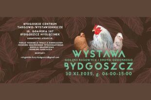 Pokaz Poinsencji/Wystawa Gołębi i Drobnego Inwentarza