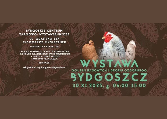 Pokaz Poinsencji/Wystawa Gołębi i Drobnego Inwentarza