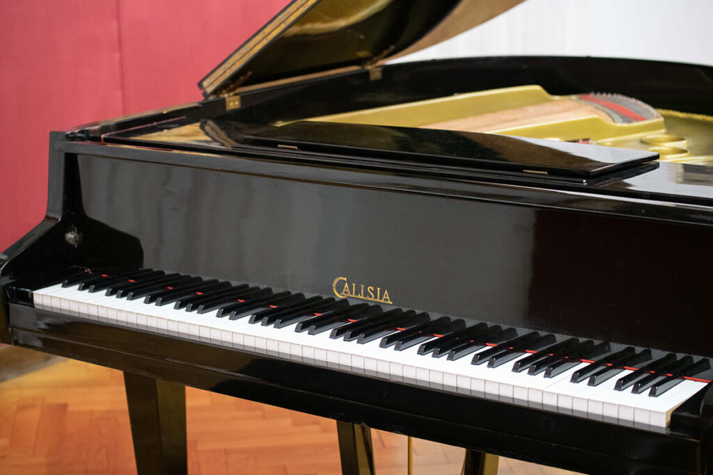 Zapraszamy na koncert „Zacznij od Bacha”