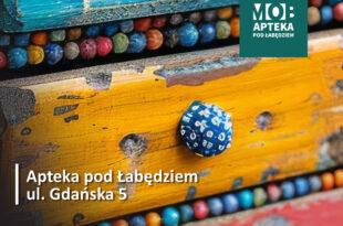 Od patyka do muzeum – warsztaty