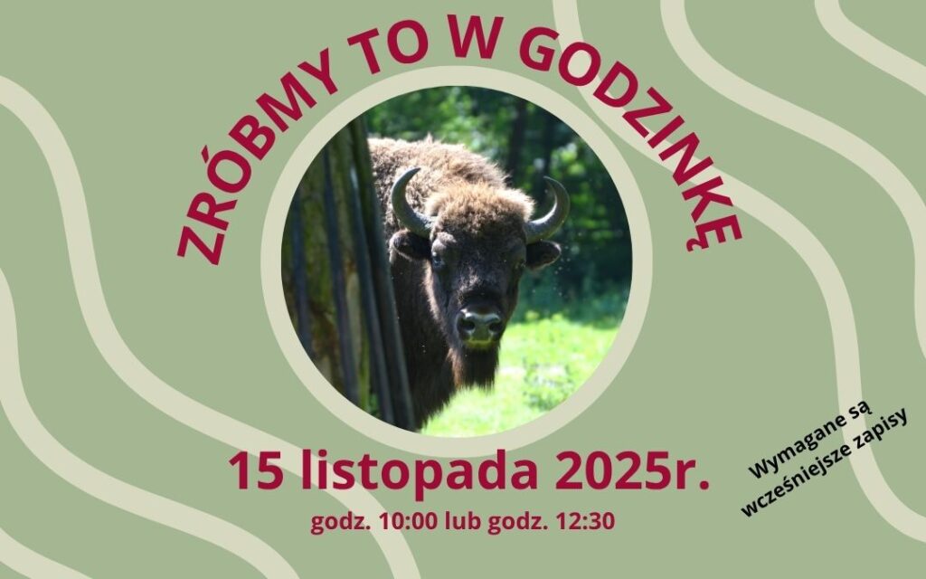 „ZRÓBMY TO W GODZINKĘ”