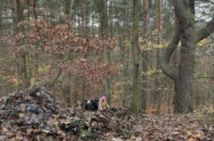 Kultura na świeżym: Głosy krawędzi – spacer z Grzegorzem Gałązką