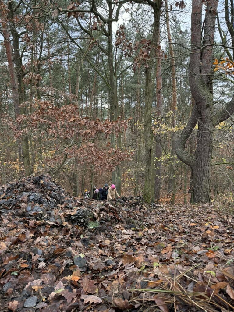 Kultura na świeżym: Głosy krawędzi – spacer z Grzegorzem Gałązką