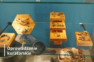 Oprowadzanie kuratorskie po wystawie „Na pograniczu Wielkopolski i Pomorza. Bydgoszcz i region u zarania dziejów”