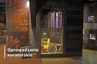 Oprowadzanie kuratorskie po wystawie „W grodzie Bydgosta. Tajemnice życia wczesnośredniowiecznych mieszkańców Bydgoszczy i okolic”