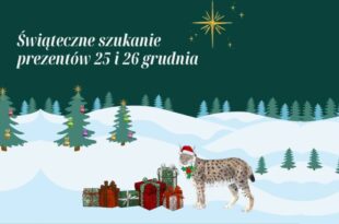 Świąteczne szukanie prezentów