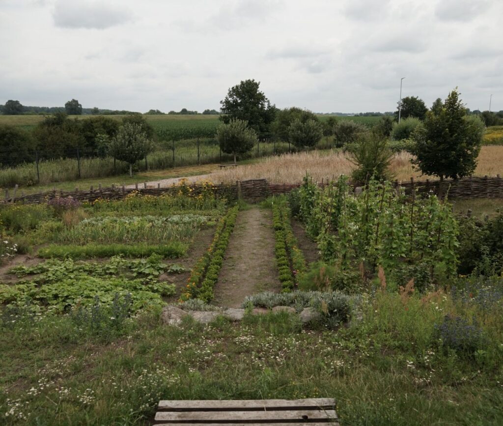 Za pan brat z warzywami. Parę słów o ekologii