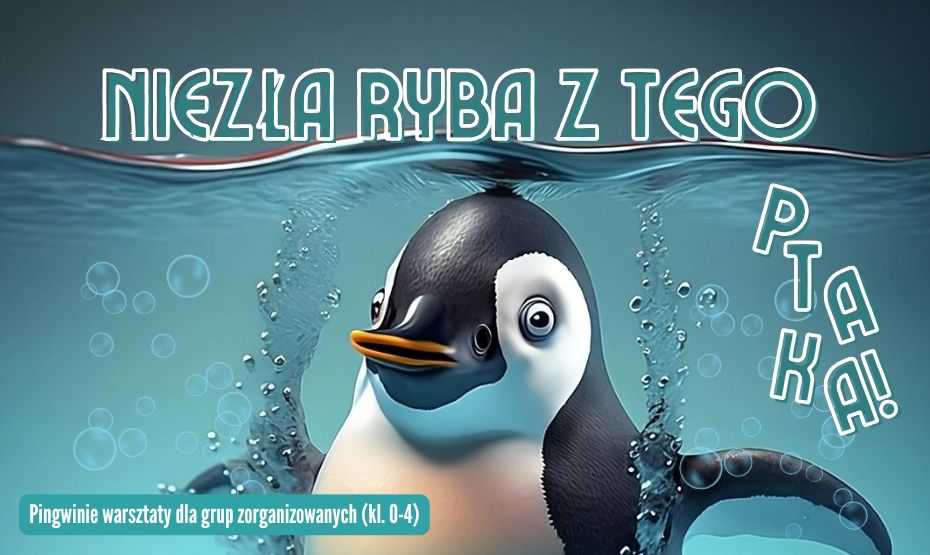 Niezła ryba z tego ptaka! – pingwinie warsztaty dla grup zorganizowanych (klasy 0–4)