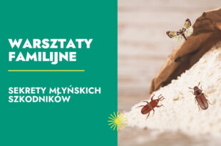 Sekrety młyńskich szkodników – warsztaty familijne (dzieci 8-12 lat)