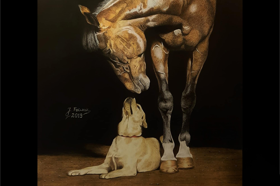 Wystawa rysunku Jakuba Felczaka