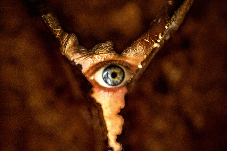 Powrót do Silent Hill