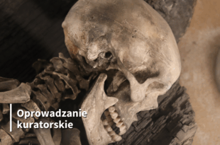 Oprowadzanie kuratorskie po wystawie „Na pograniczu Wielkopolski i Pomorza...”