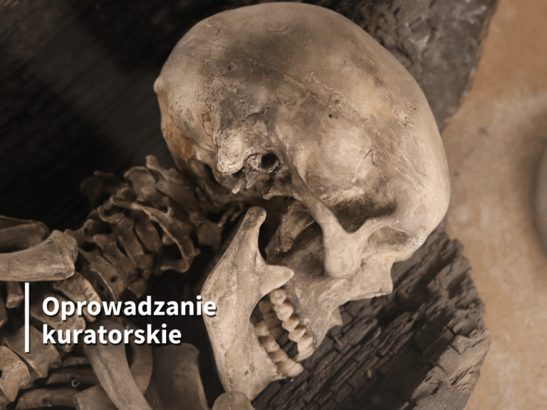 Oprowadzanie kuratorskie po wystawie „Na pograniczu Wielkopolski i Pomorza...”