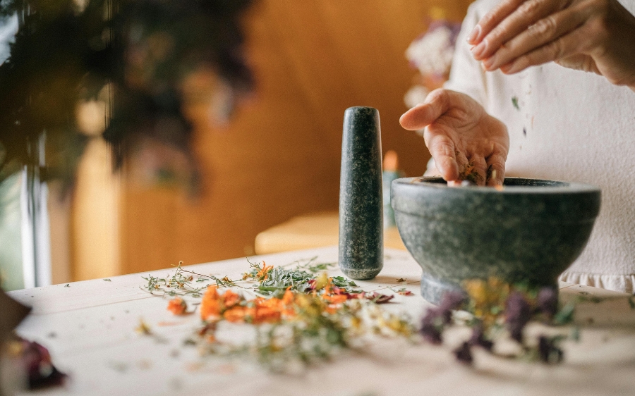 Warsztaty dla seniorów – warsztaty zielarskie – „Gdy kuchnia leczy – zioła na stawy, kości i krążenie”