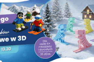 Sporty zimowe w 3D – Pracownia Skarbów