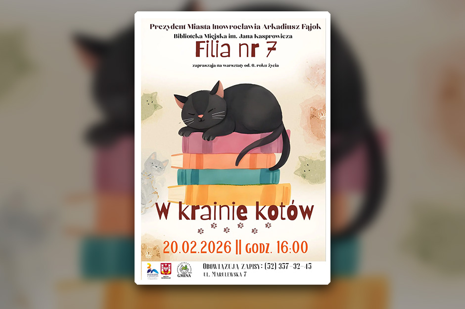 W królestwie kotów