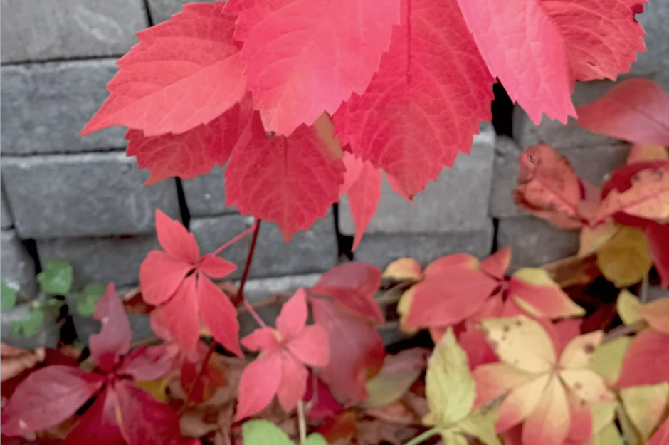 Warto. Naprawdę warto - Jolanta Piekarska