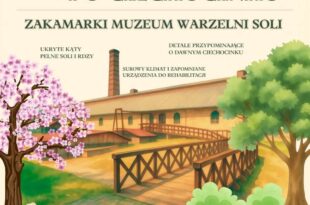 Tajemnice Warzelni Soli