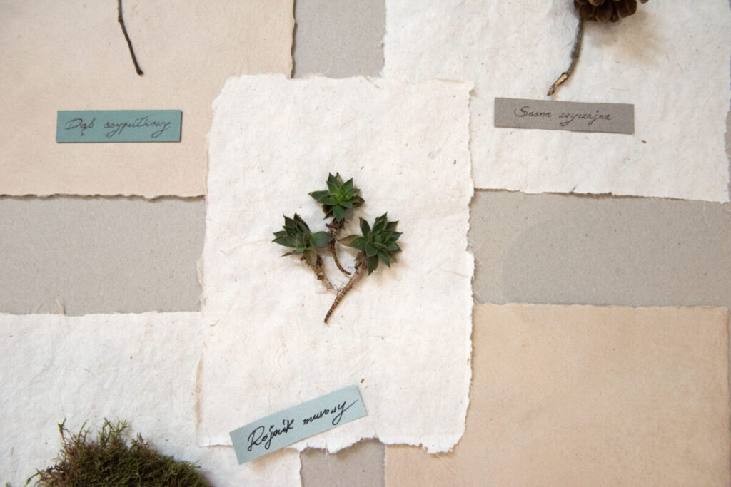 Pamięć i niepamięć. Zapomniane nekropolie Kujaw i Ziemi Dobrzyńskiej