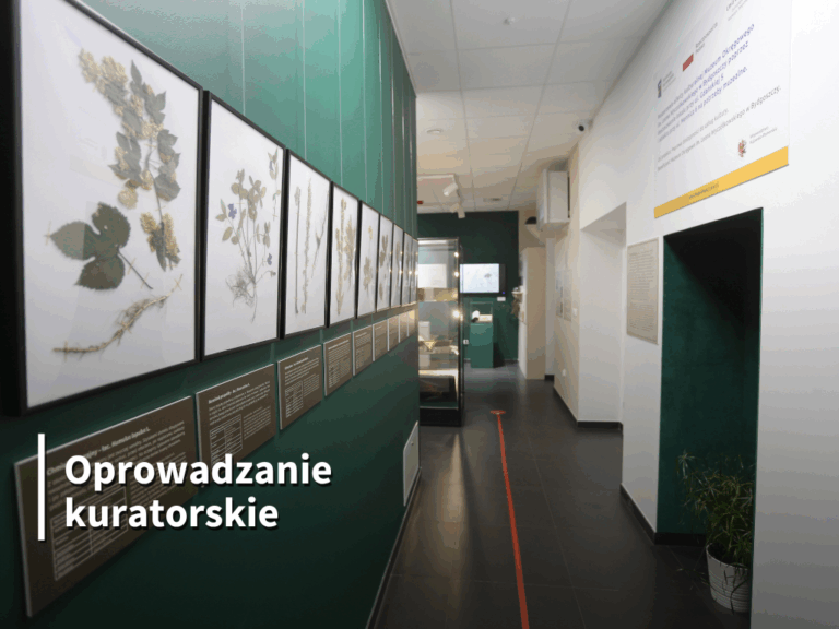 Oprowadzanie kuratorskie po wystawie „Herbaria. Utrwalona historia roślin”