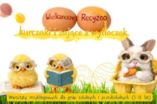 Wielkanocne recyzoo – kurczaki i zające z wytłoczek. Zajęcia dla grup szkolnych i przedszkolnych (5-12 lat)