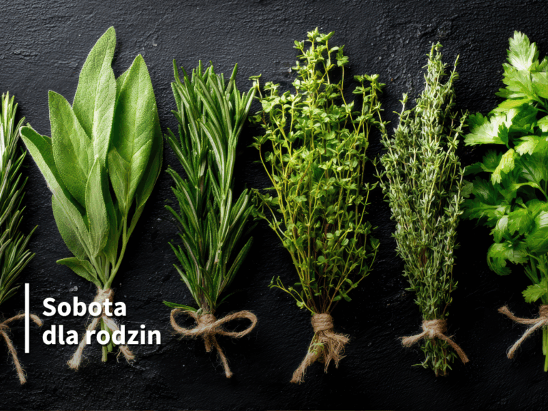 Sobota dla rodzin: Spotkanie ze światem ziół