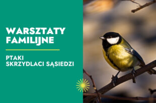 Ptaki – skrzydlaci sąsiedzi