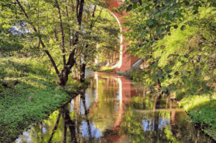 Kultura na świeżym vol. 140. Olsztyn!