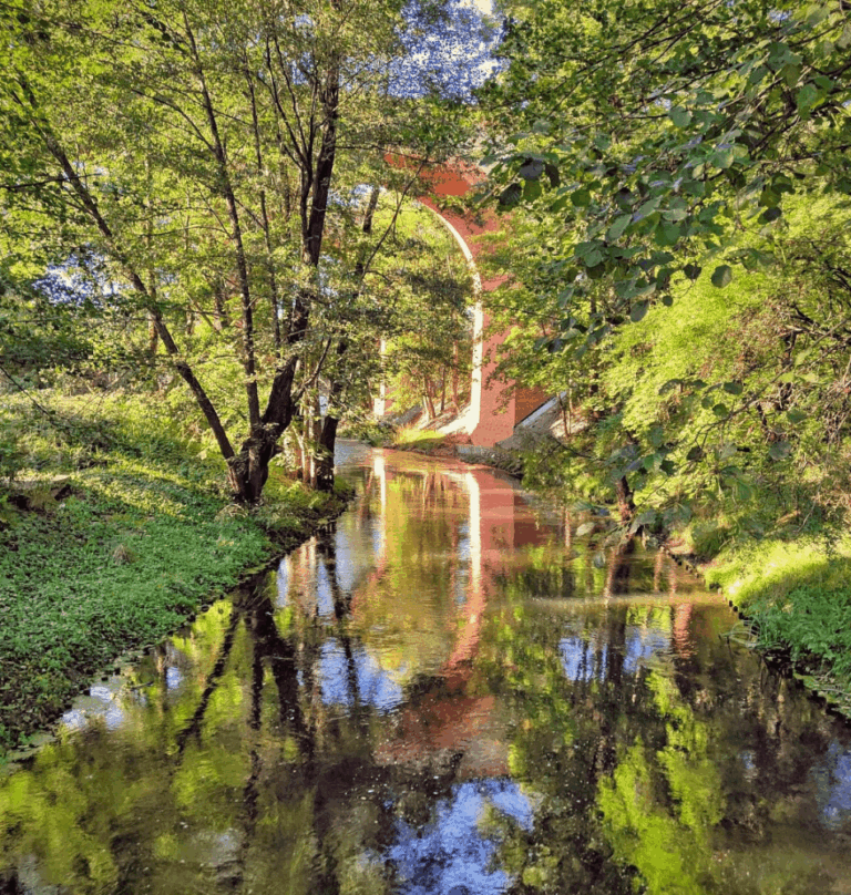 Kultura na świeżym vol. 140. Olsztyn!