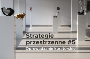 Oprowadzanie kuratorskie po wystawie Strategie przestrzenne #5
