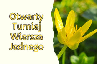 Otwarty Turniej Jednego Wiersza w Książnicy Kopernikańskiej