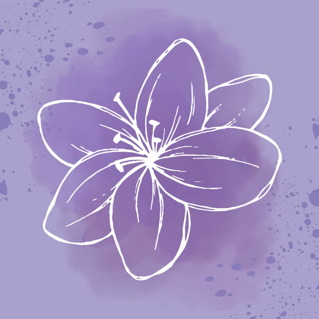 Warsztaty – Kwietny kolaż na płótnie