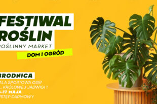 FESTIWAL ROŚLIN