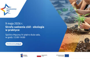 Funduszowy maj – strefa sadzenia ziół – ekologia w praktyce