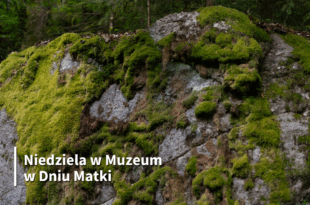 Niedziela w Muzeum z okazji Dnia Matki: Leśne opowieści – obrazy z mchu