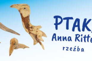 Wystawa rzeźb w drewnie Anny Ritter „PTAKI”